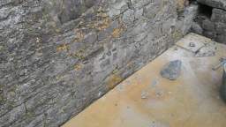 acastle
                          109605.jpg